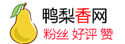 www.90li.com 90li 海外流量自助站 - 零门槛社交营销！无需账号密码，安全提升 TikTok/Twitter 粉丝。 - www.90li.com Ins涨粉丝网|加粉丝