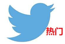 Twitter热门贴套餐A (全家桶)